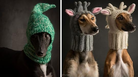 Photographs by Paul Croes