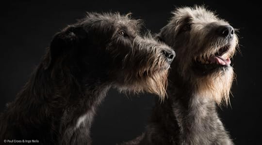 Photography by Paul Croes & Inge Nelis