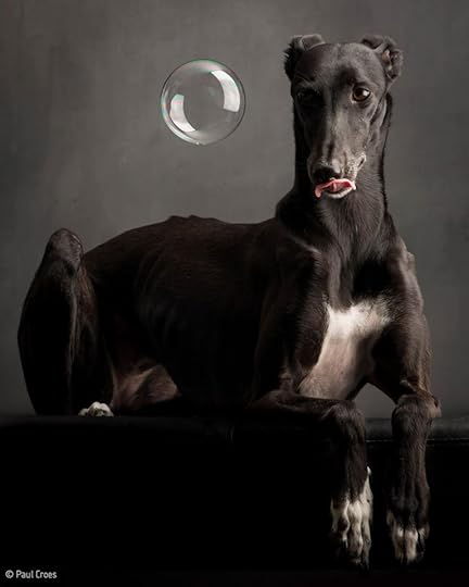 Photography by Paul Croes & Inge Nelis