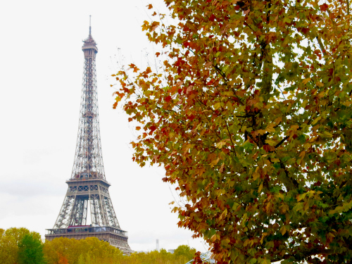 Eiffel Tower Autumn 500 x 375