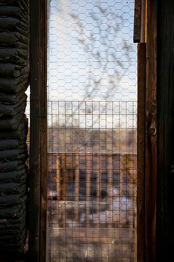 Christina Fernandez, Noah (Joshua Tree), 2016, from the series View from here © the artist and courtesy Gallery Luisotti, Los Angeles 