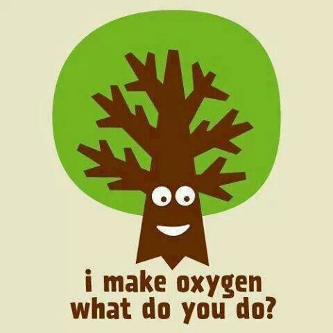Environment Quotes