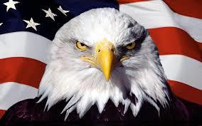 Flag Eagle Facing