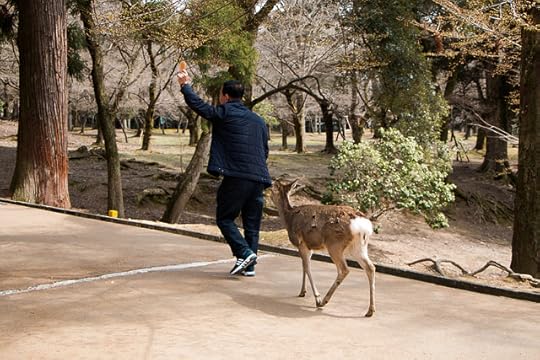 Japan-342