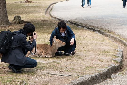 Japan-327