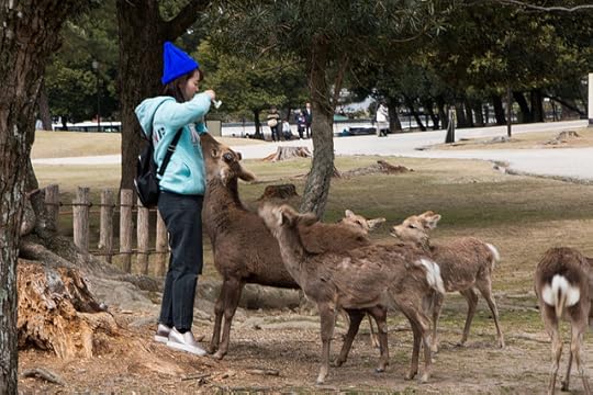 Japan-326