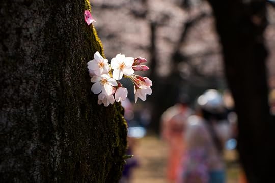 Japan-415