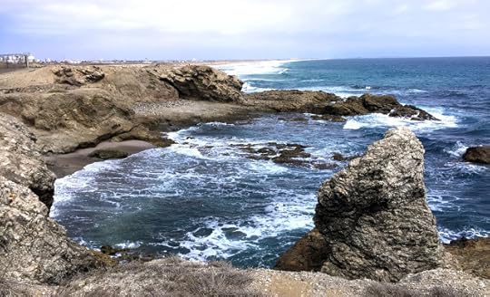 Lobos del Mar