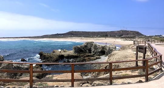 Lobos del Mar 2