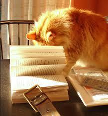 Image result for Creative commons books