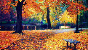 fall2