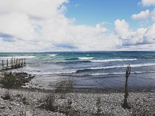 Lake Michigan Waves.jpg