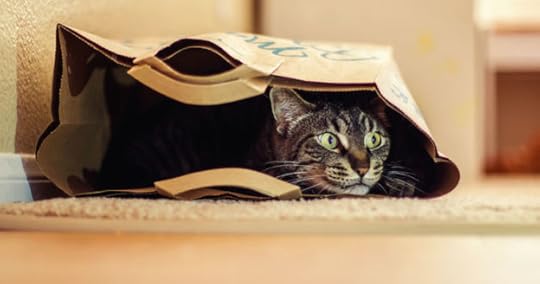 disappointing products