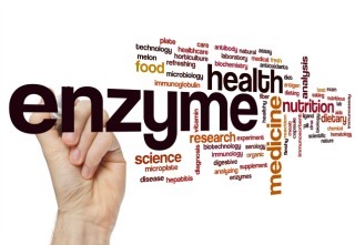 Enzyme word cloud concept