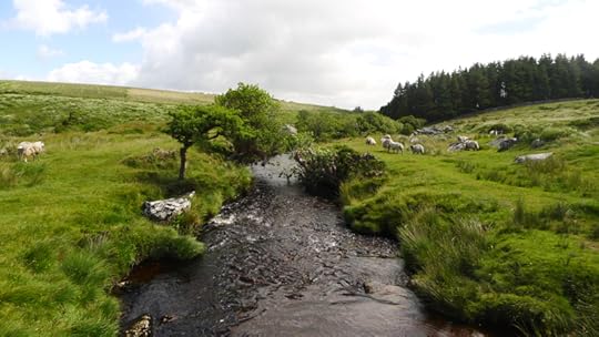 The Walla Brook, Dartmoor