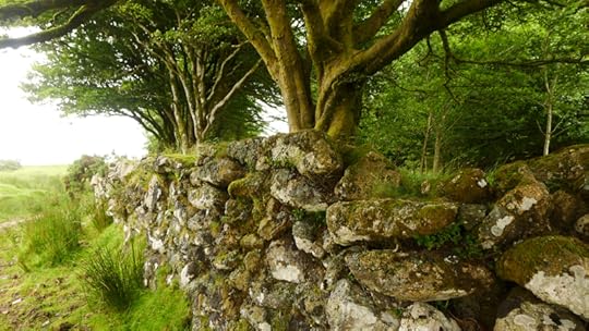 Stone wall, between Scorhill & Kestor