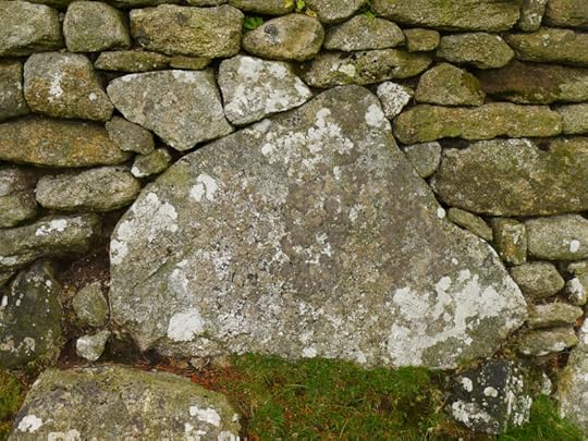 Stone wall, Dartmoor
