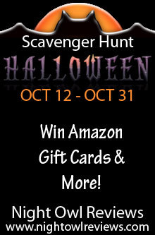 Night Owl Reviews Web Hunt