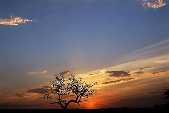 Bible Study: When Life or Ministry is Hard