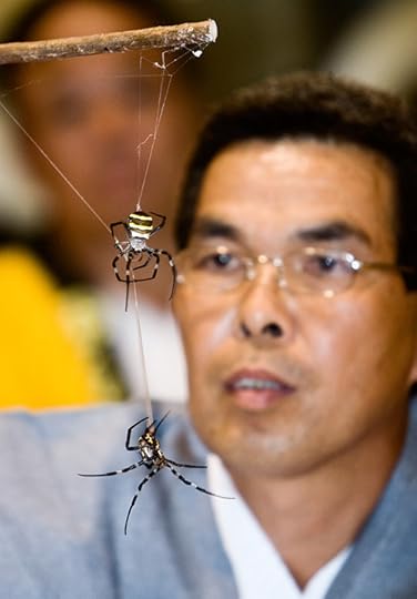 spider battles