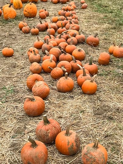 pumpkin patch I howsweeteats.com 
