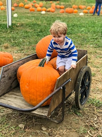 pumpkin patch I howsweeteats.com 