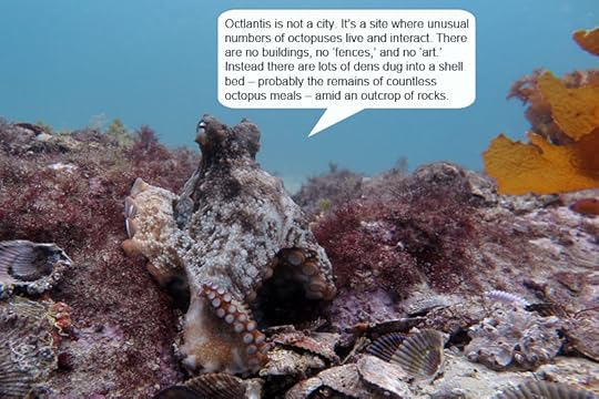 Octlantis_9604 - text 3