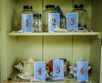 Your 6 Card Free Tarot Reading With Michele Knight