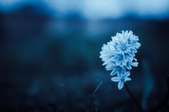 quotes about presence