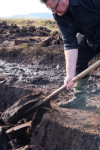 Peat Cutting