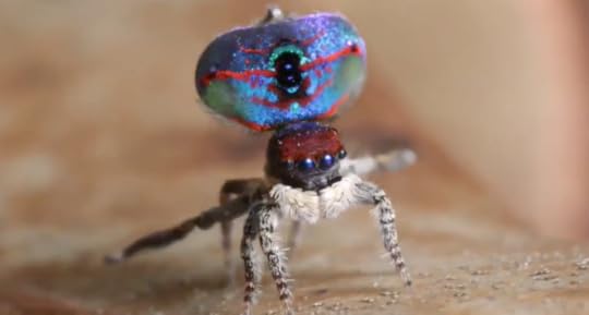 Screen Shot 2017-10-12 at 10.07.55 AM