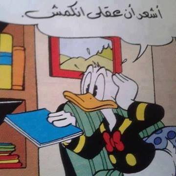 1012509_650543321647105_1403156627_n