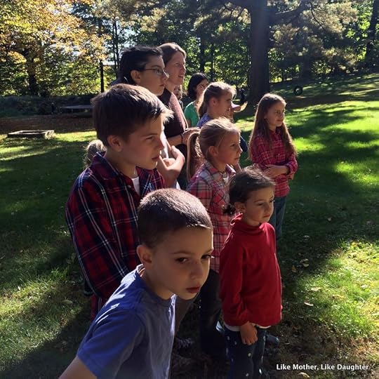 Watching the bees ~ {bits & pieces}