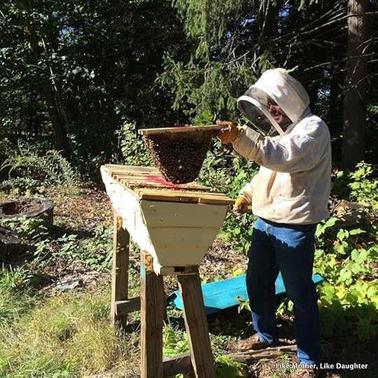 Top bar hive comb ~ {bits & pieces}