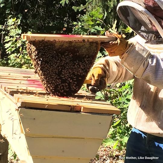 Top bar hive comb ~ {bits & pieces}