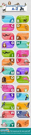 Rainforest Animals