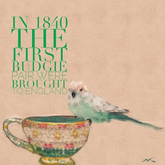 Darling Budgie Wall Art