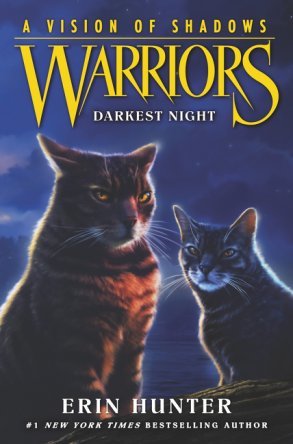 Image result for warriors a vision of shadows book 4
