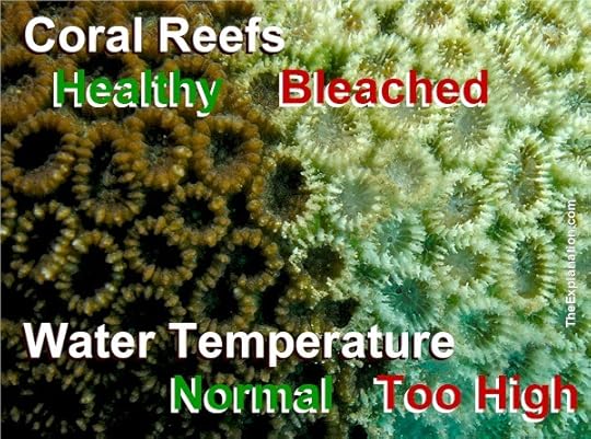 Water resources are a key to the existence of life. From coral reefs in the vast salty oceans to glaciers, rivers and ponds for fresh water. Every drop plays its part.
