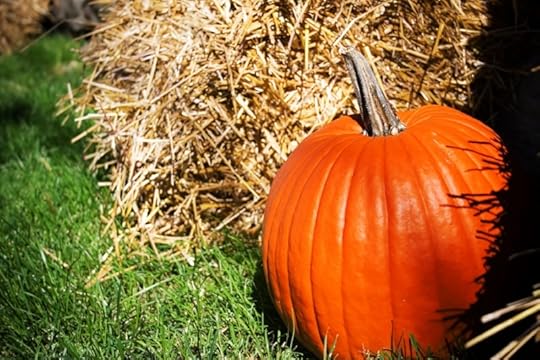  [Pumpkin by Paul-andré Belle-isle -- LEGAL USE OF THIS PHOTO LICENSED AND SECURED VIA DREAMSTIME - July 2014]