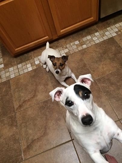 Disney (brunette) and Riley