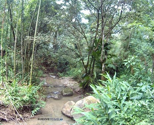 4 Hiking to Minca's Pozo Azul, Santa Marta, Magdalena, Colombia, Stream