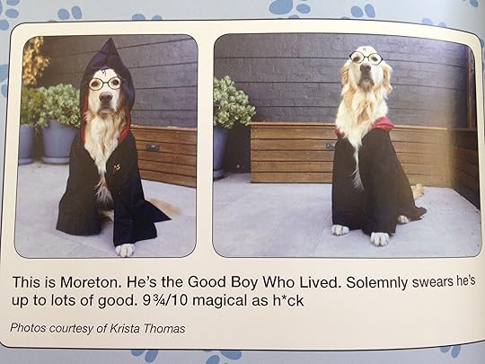 #WeRateDogs 17--bookspoils