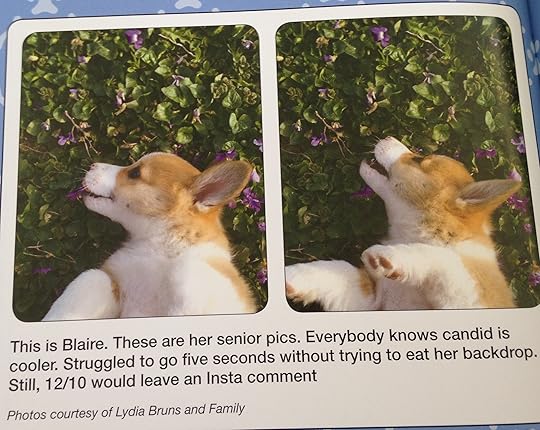 #WeRateDogs 4--bookspoils