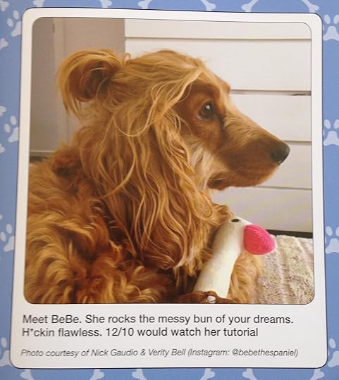 #WeRateDogs 6--bookspoils