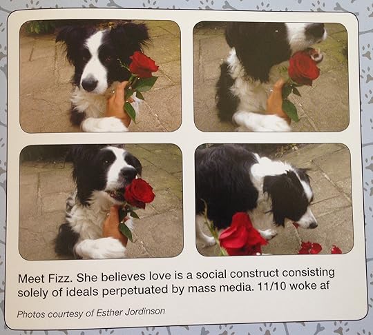 #WeRateDogs 8--bookspoils