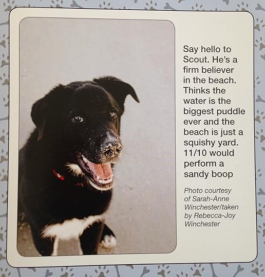 #WeRateDogs 9--bookspoils