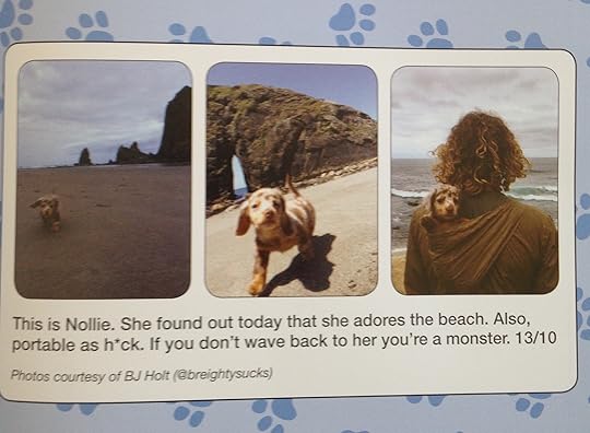 #WeRateDogs 11--bookspoils