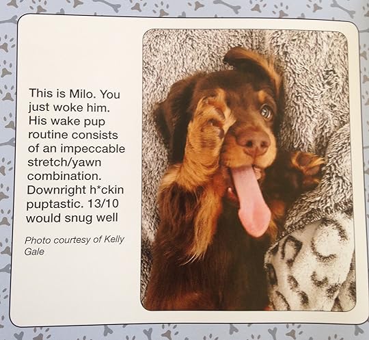 #WeRateDogs 14--bookspoils