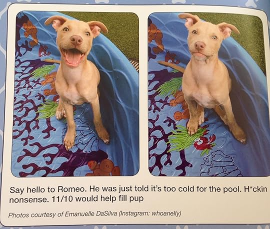 #WeRateDogs 15--bookspoils